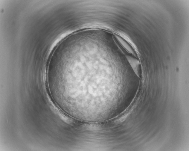 X0000087531040200705112026