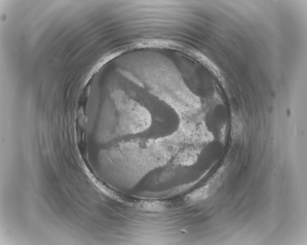 X0000087531041200705112026