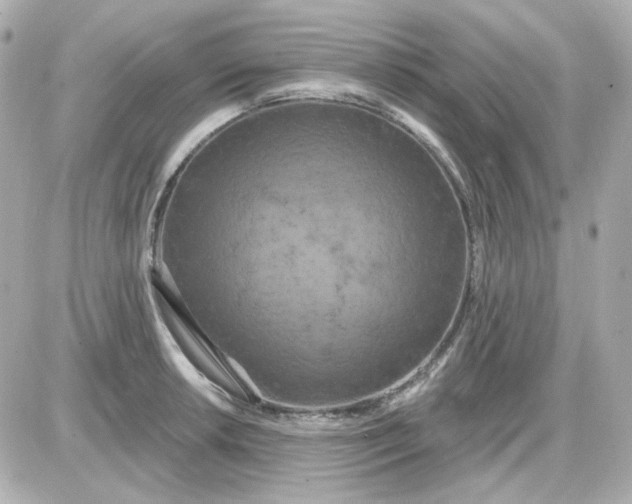 X0000087531042200705112026