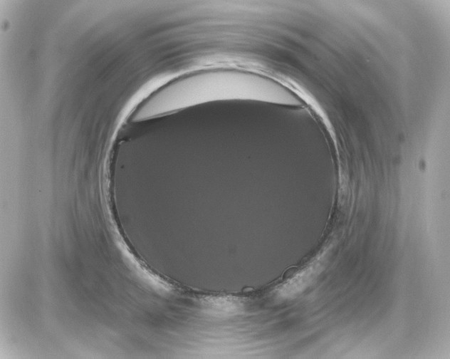 X0000087531045200705112026