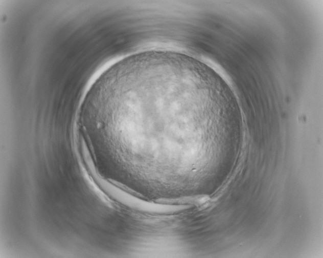 X0000087531056200705112026