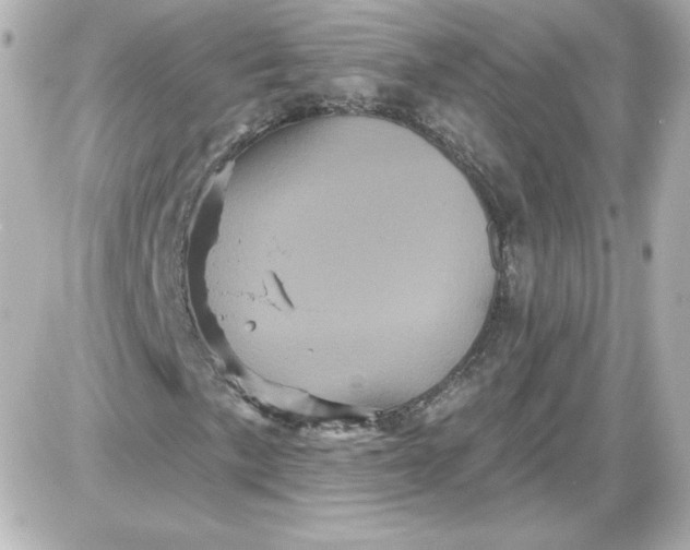 X0000087531057200705112026