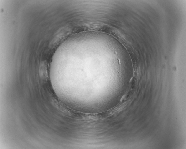 X0000087531058200705112026