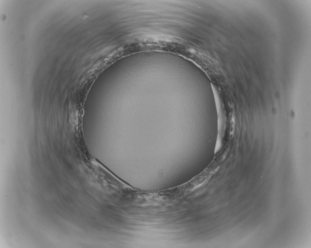 X0000087531061200705112026