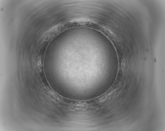 X0000087531062200705112026