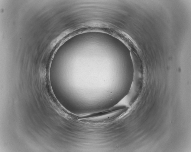 X0000087531065200705112025