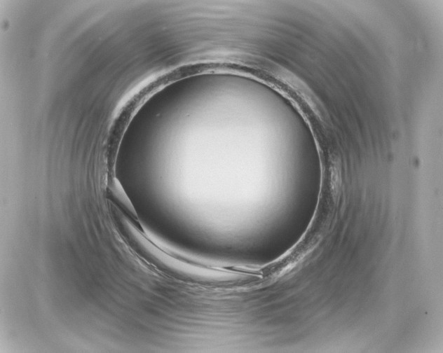 X0000087531069200705112025