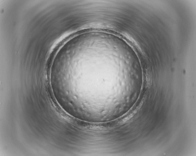 X0000087531070200705112025