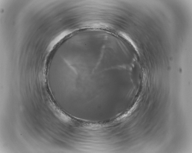 X0000087531071200705112025