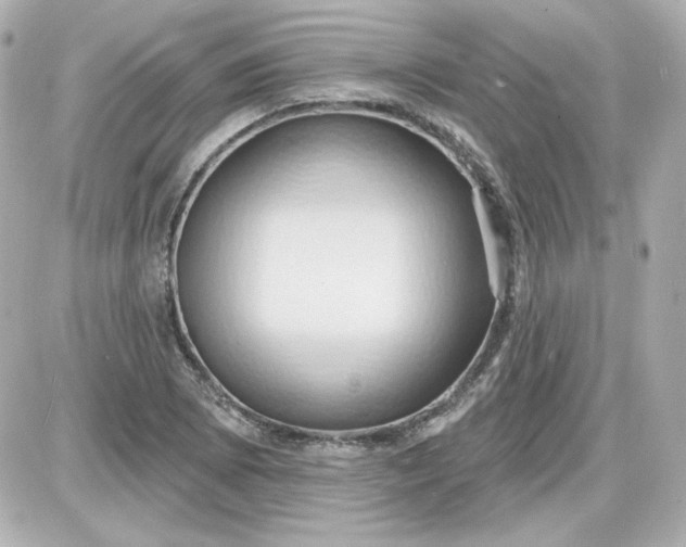 X0000087531073200705112025