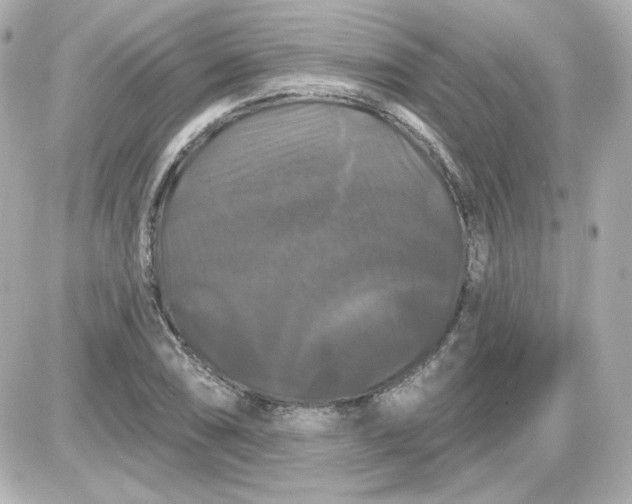 X0000087531074200705112025