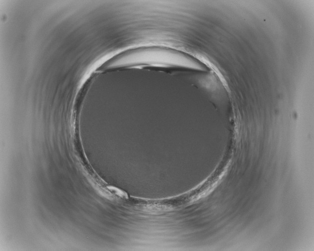 X0000087531077200705112025