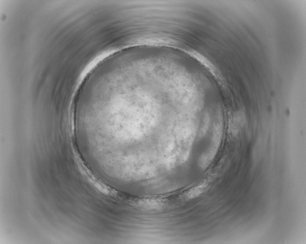 X0000087531078200705112025