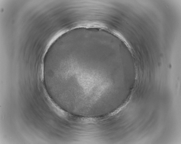 X0000087531079200705112025