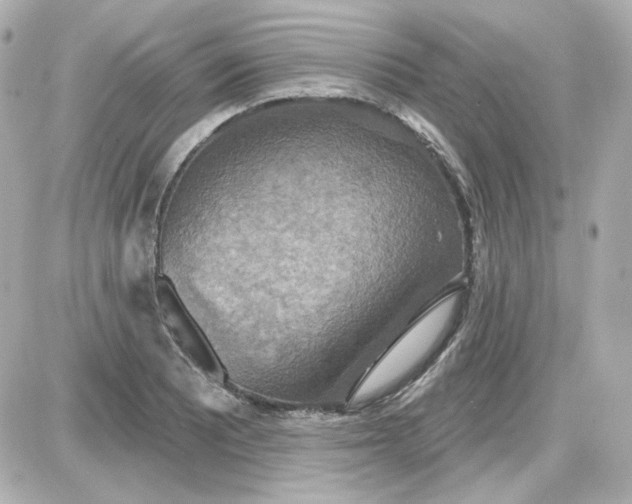 X0000087531081200705112025