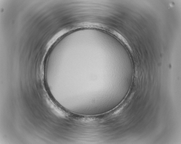 X0000087531082200705112025