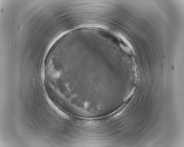 X0000087531084200705112025