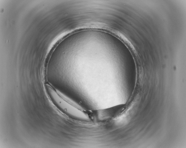 X0000087531085200705112025