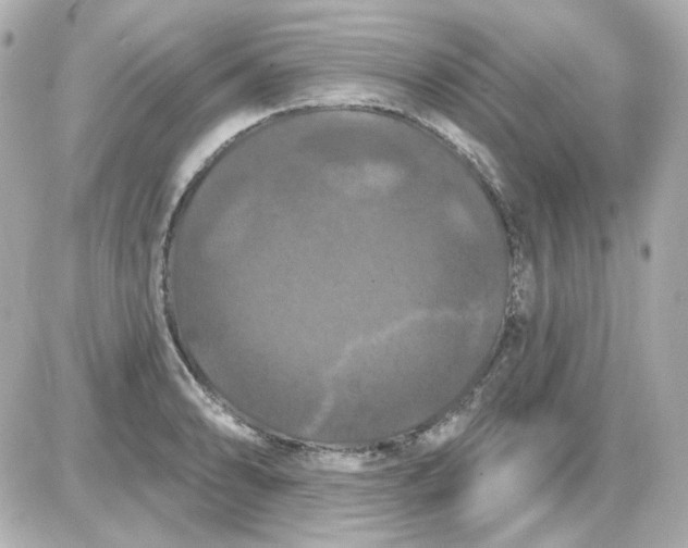 X0000087531086200705112025