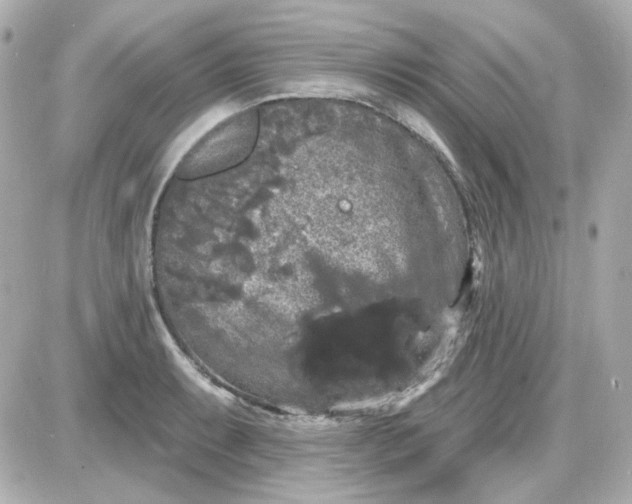 X0000087531087200705112025