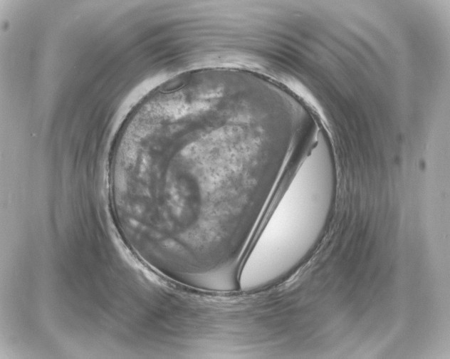 X0000087531088200705112025