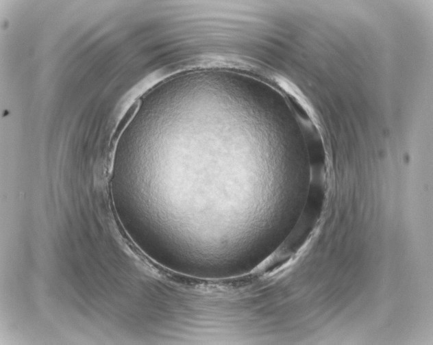 X0000087531089200705112025