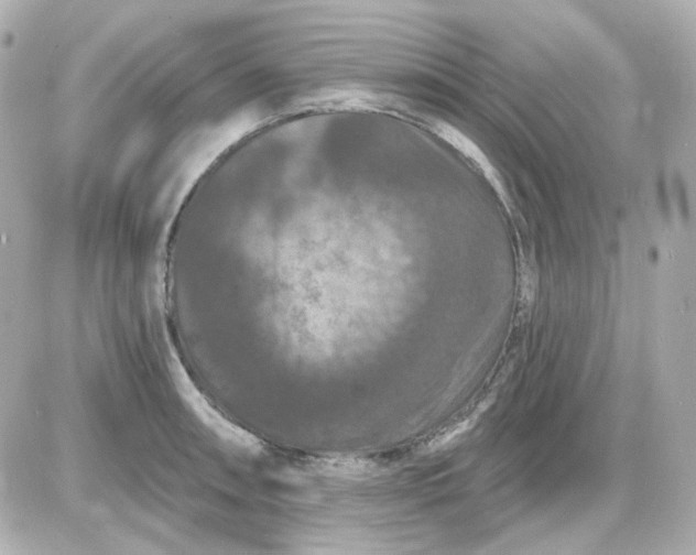 X0000087531090200705112025