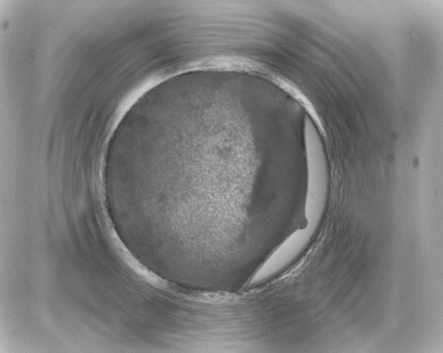 X0000087531091200705112025