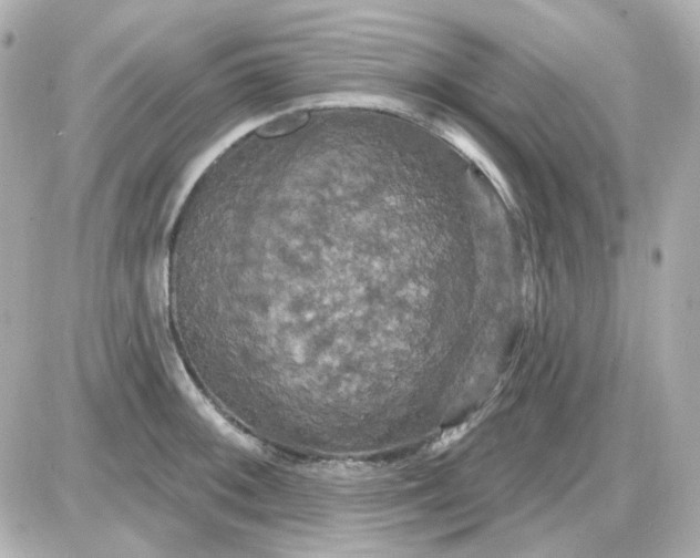 X0000087531092200705112025