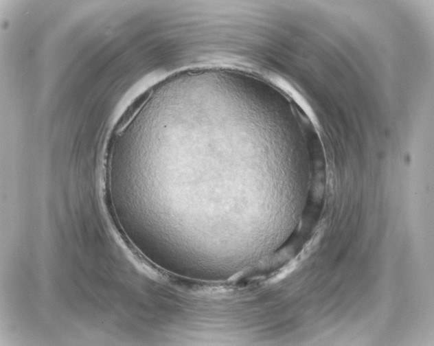 X0000087531093200705112025