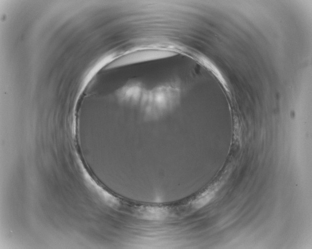 X0000087531095200705112025