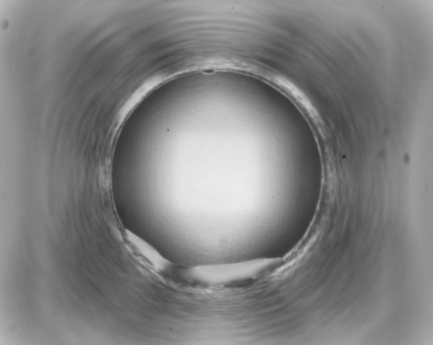 X0000087531097200705112025