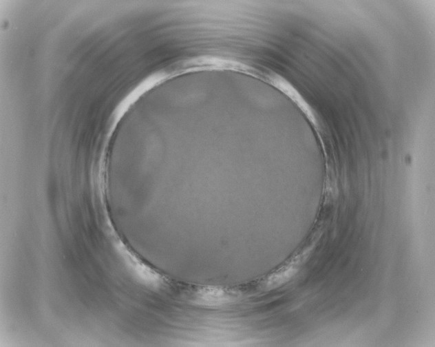 X0000087531098200705112025