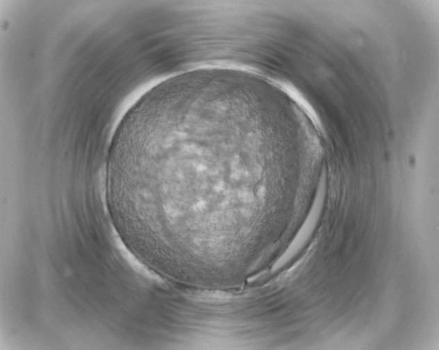 X0000087531100200705112025