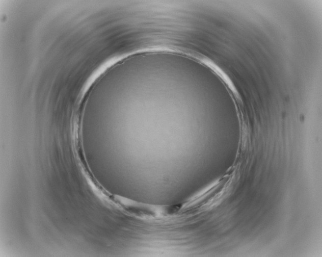 X0000087531101200705112025