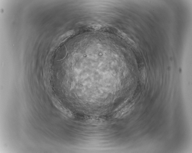 X0000087531105200705112024