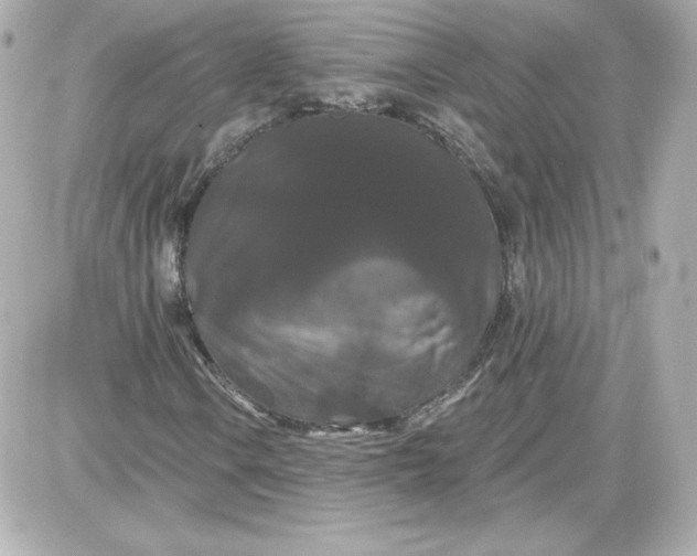 X0000087531106200705112024