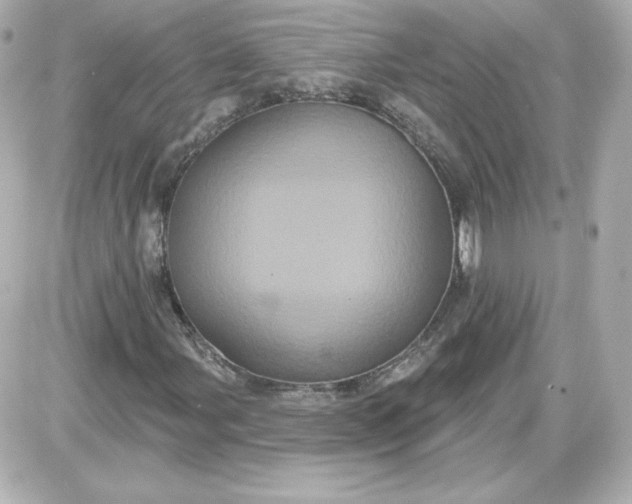 X0000087531107200705112024