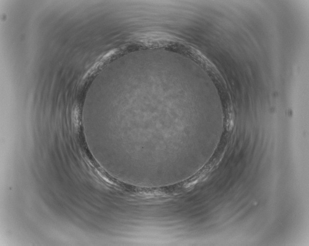 X0000087531108200705112024