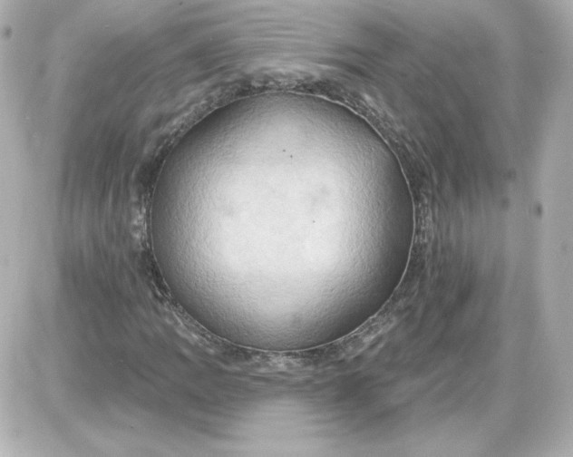 X0000087531109200705112024