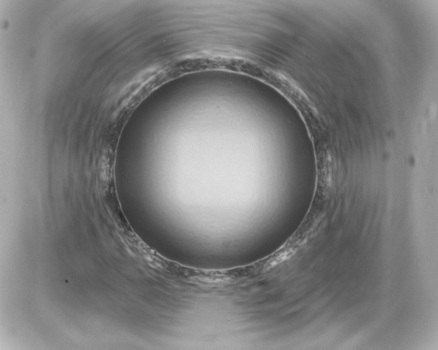 X0000087531110200705112024