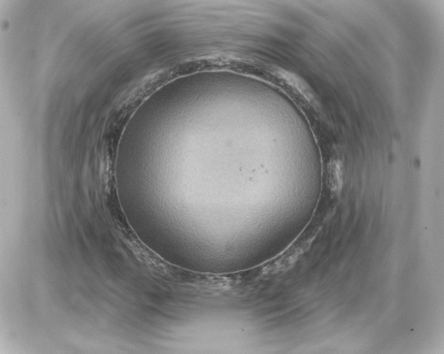 X0000087531111200705112024