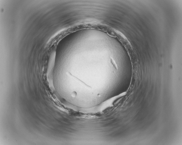 X0000087531112200705112024