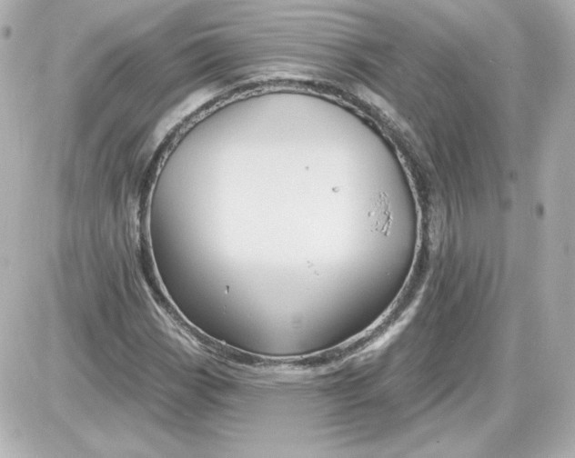 X0000087531113200705112024