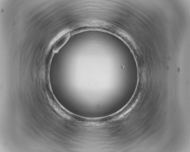 X0000087531114200705112024