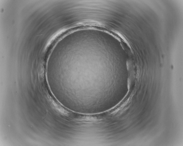 X0000087531115200705112024