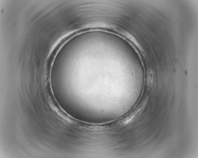 X0000087531116200705112024