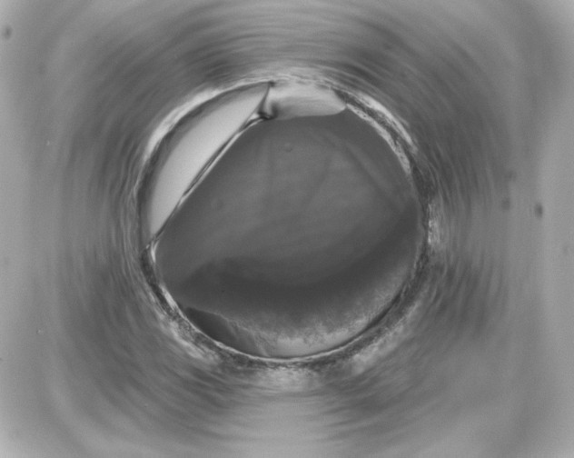 X0000087531117200705112024