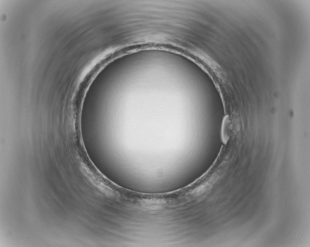 X0000087531118200705112024