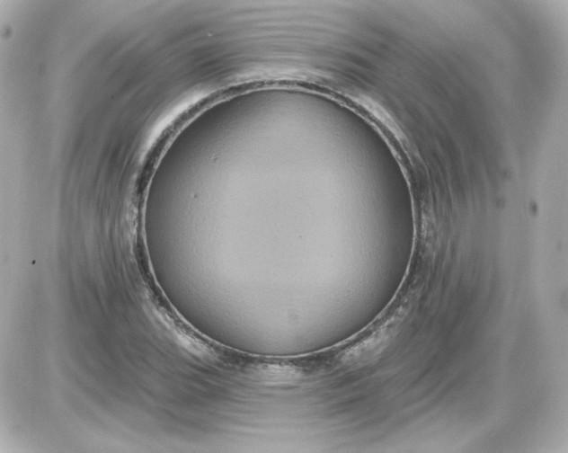 X0000087531119200705112024